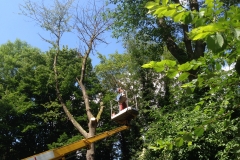 Boomverzorging-hoogwerker-1
