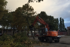 Boomverzorging-mobiele kraan-houtklem-4