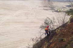 Boomverzorging-treeworker-2