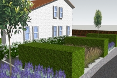 Tuin-ontwerp-3D visualisatie-3