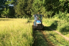 Landschap-beheer-ecologisch maaien-1
